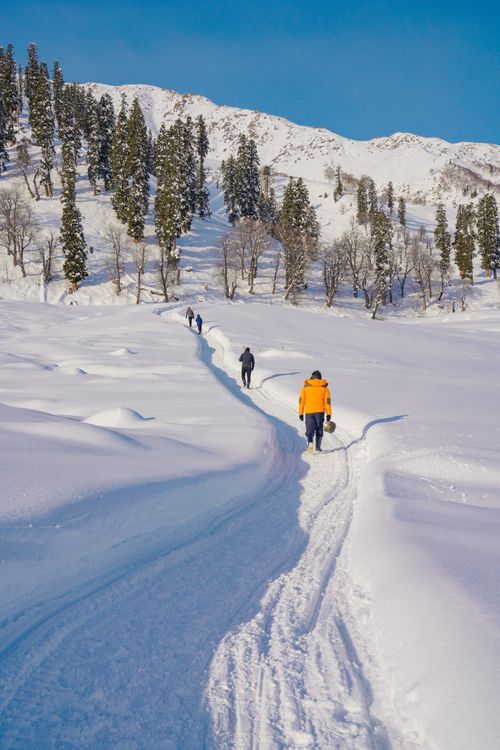 Free Group hiking on a snowy path through a scenic winter landscape with mountains and trees. Stock Photo