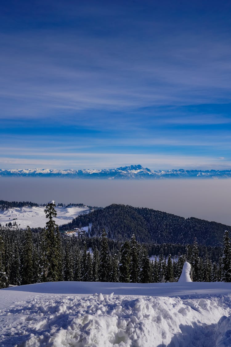 Winter Landscape With Forest And Mountains In Background 