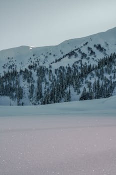 Peaceful winter scene with snow-covered mountains and evergreen trees.