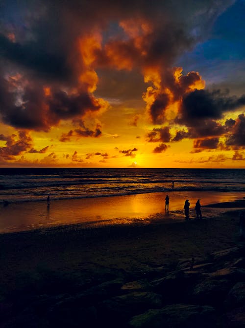 Silhouette of People on Beach during Sunset