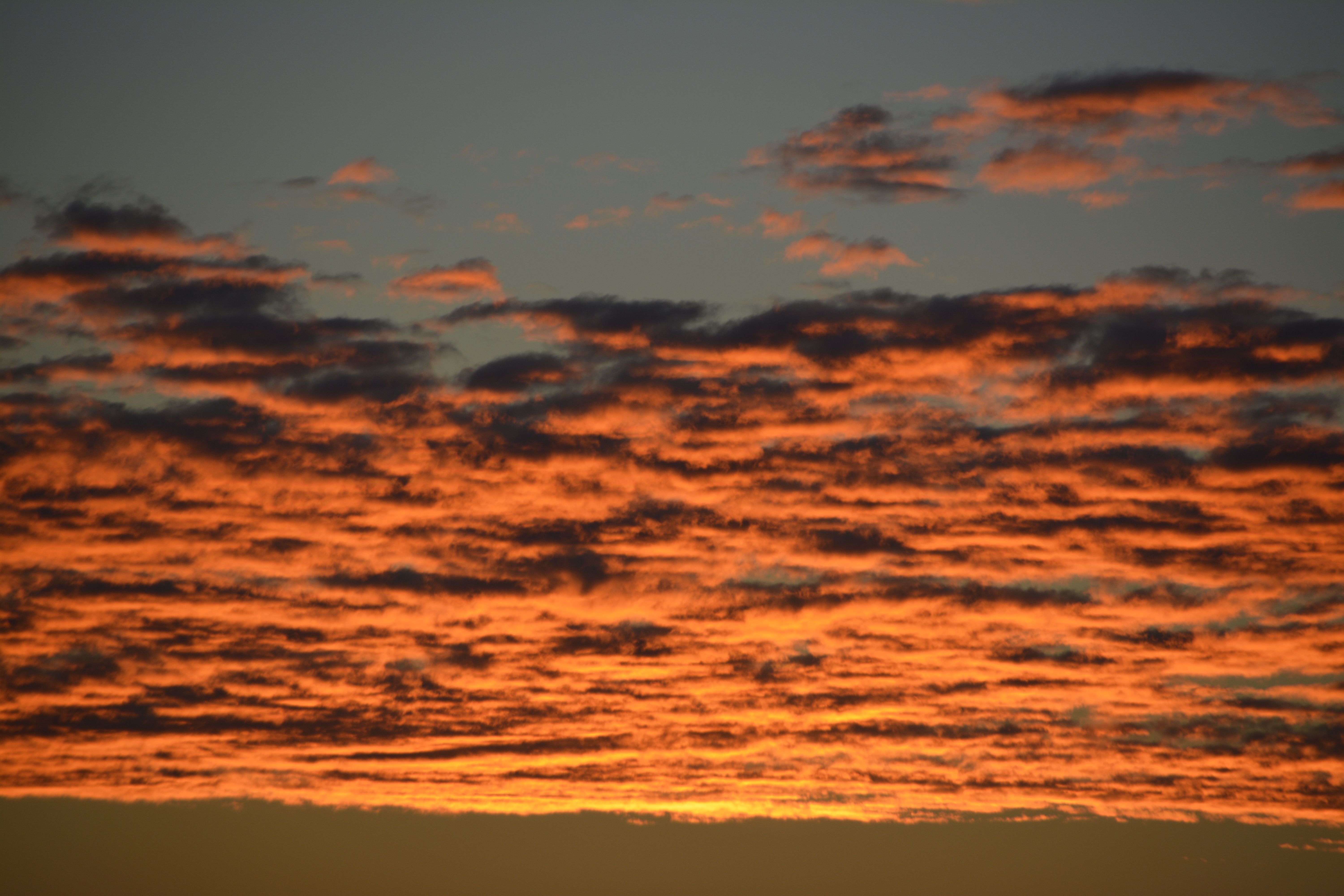 Kostenloses Foto Zum Thema Orange Himmel Sonnenaufgang Wolken