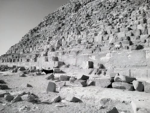 Základová fotografie zdarma na téma cairo, cheops, kameny