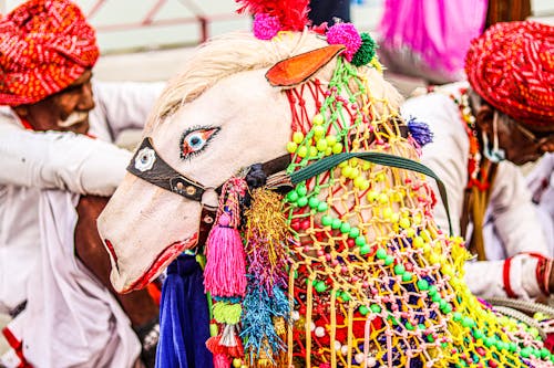 Colorful Decoration of a Horse and Rajasthani Men in Traditional Clothing in the Background