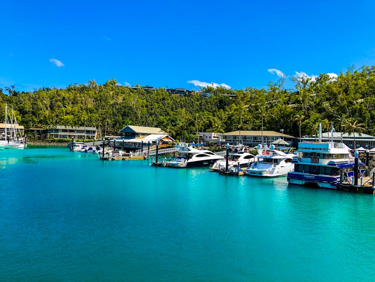 White And Blue Boats On Sea Dock