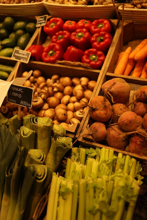 Free Variety of Vegetables on Display Stock Photo