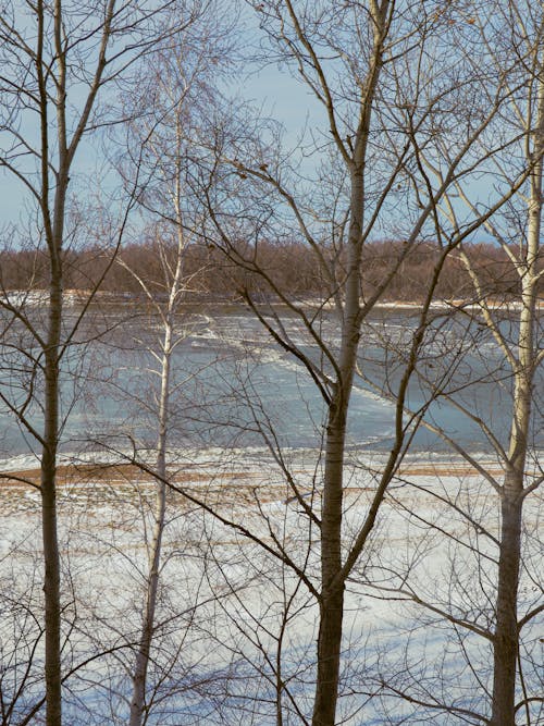 View of a Lake in Winter