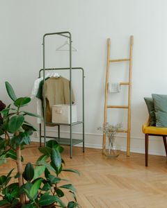 Stylish interior featuring a clothes rack, wooden ladder and green plants, perfect for modern homes.