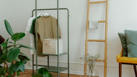 Stylish interior featuring a clothes rack, wooden ladder and green plants, perfect for modern homes.