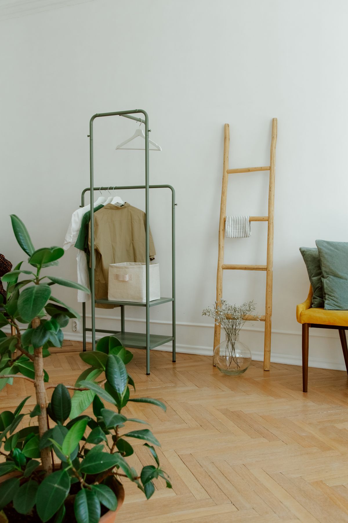 Modern interior with a wooden ladder shelf, a clothes rack and green plants