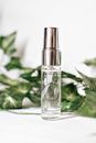 Bottle of Branded Female Perfume with Green Ivy Leaves in Background