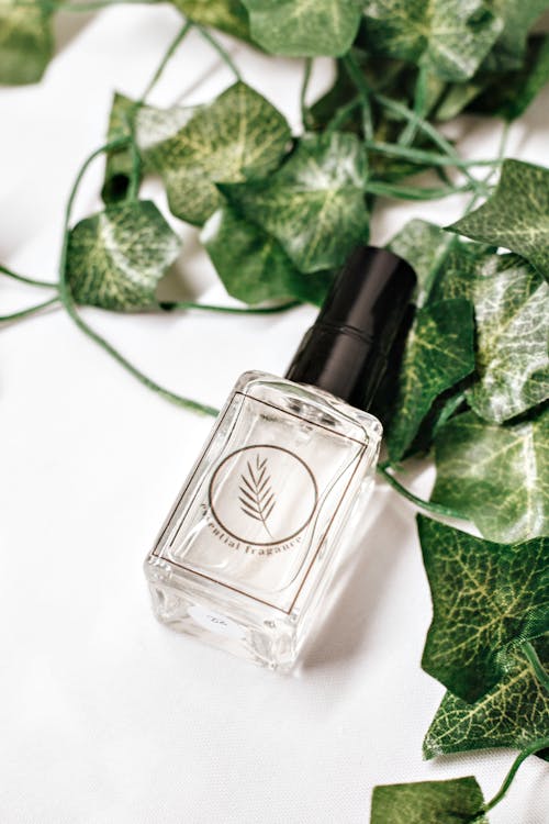 Classic Glass Bottle of Branded Perfume Laying on Green Ivy Leaves