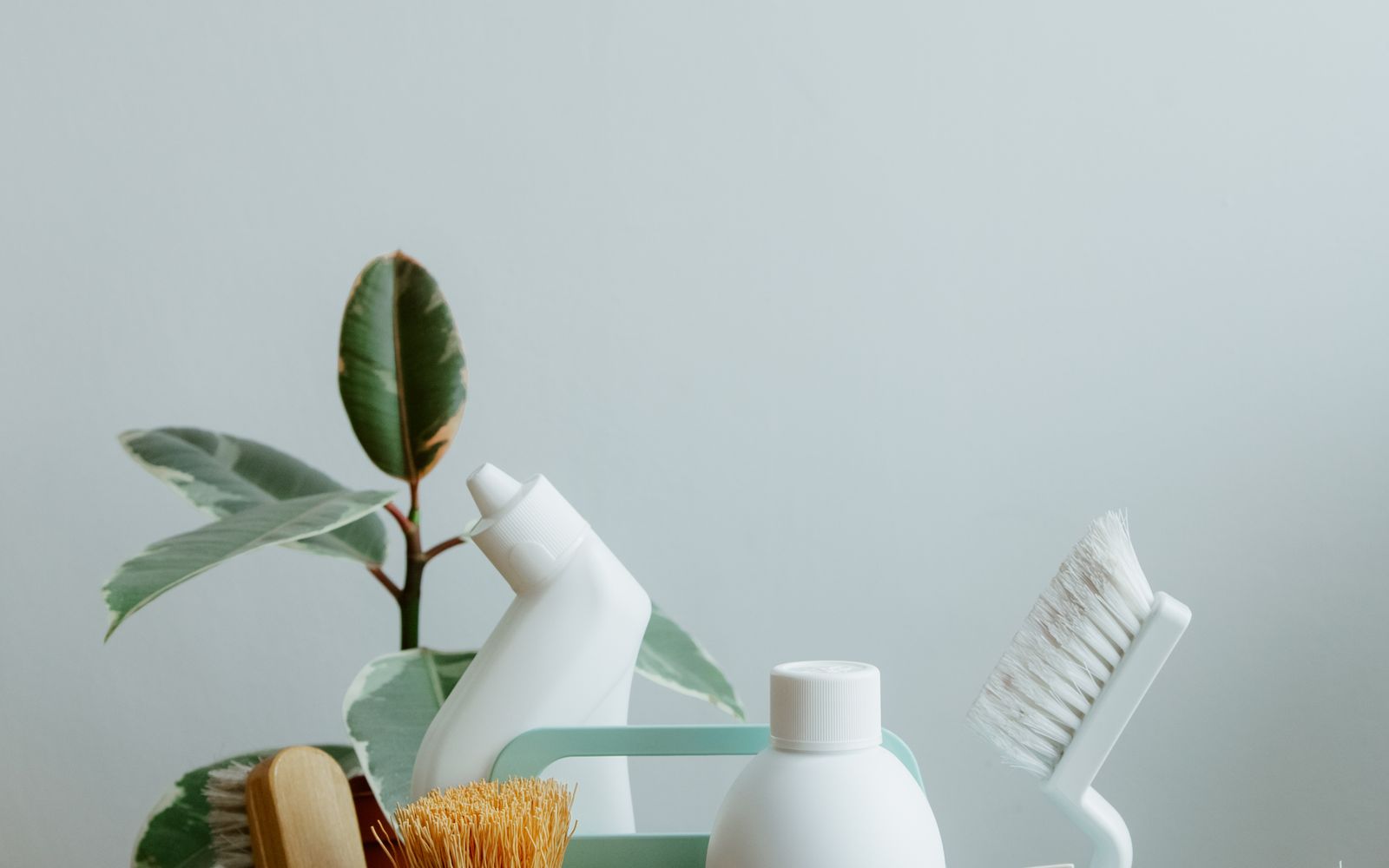 Plain cleaning bottles, a scrub brush, and a leafy plant arranged on a pale surface