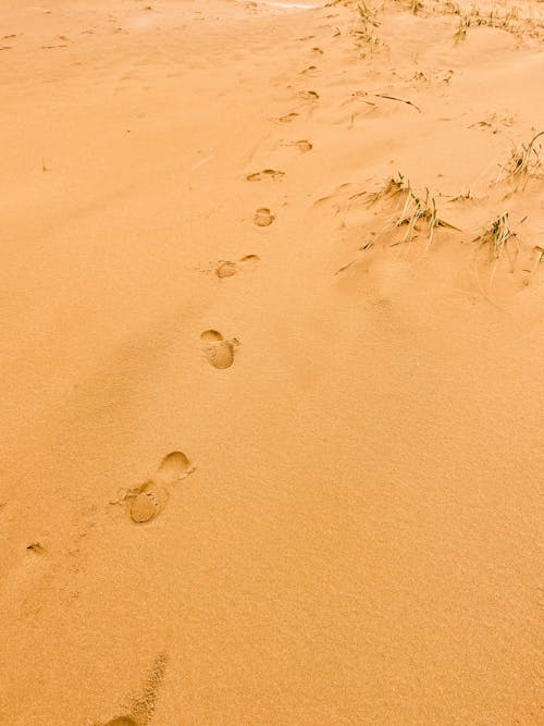 Foto d'estoc gratuïta de desert, petjades, Riba