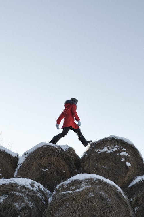 Free Person Walking on Hay Bales Covered in Snow Stock Photo