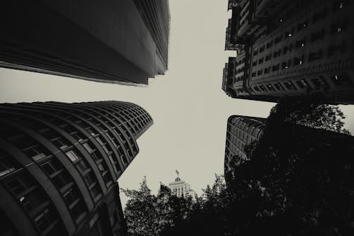 Gratis lagerfoto af beton bygning, bygninger, faldende perspektiv Lagerfoto