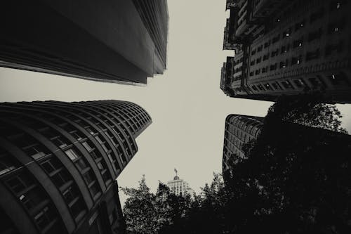 Low Angle Photography of High Rise Buildings Under Clear Skies