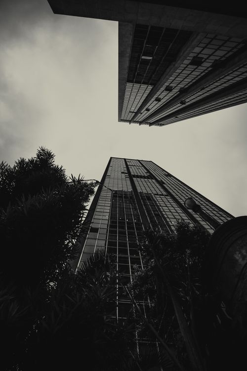 Free A striking black and white image capturing soaring skyscrapers from a low angle. Stock Photo