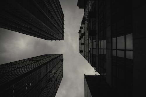 Grayscale Photo of High Rise Buildings