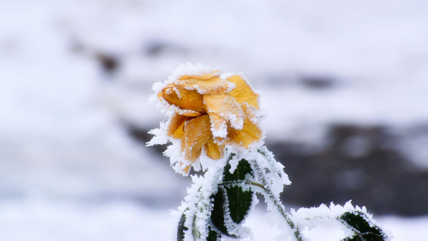 Cheap Winterization: The Twenty-Dollar Fixes With the Biggest Impact