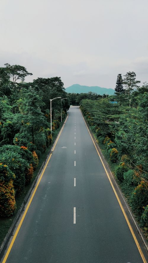 Free Aerial view of an empty road surrounded by lush greenery, perfect for travel and nature concepts. Stock Photo