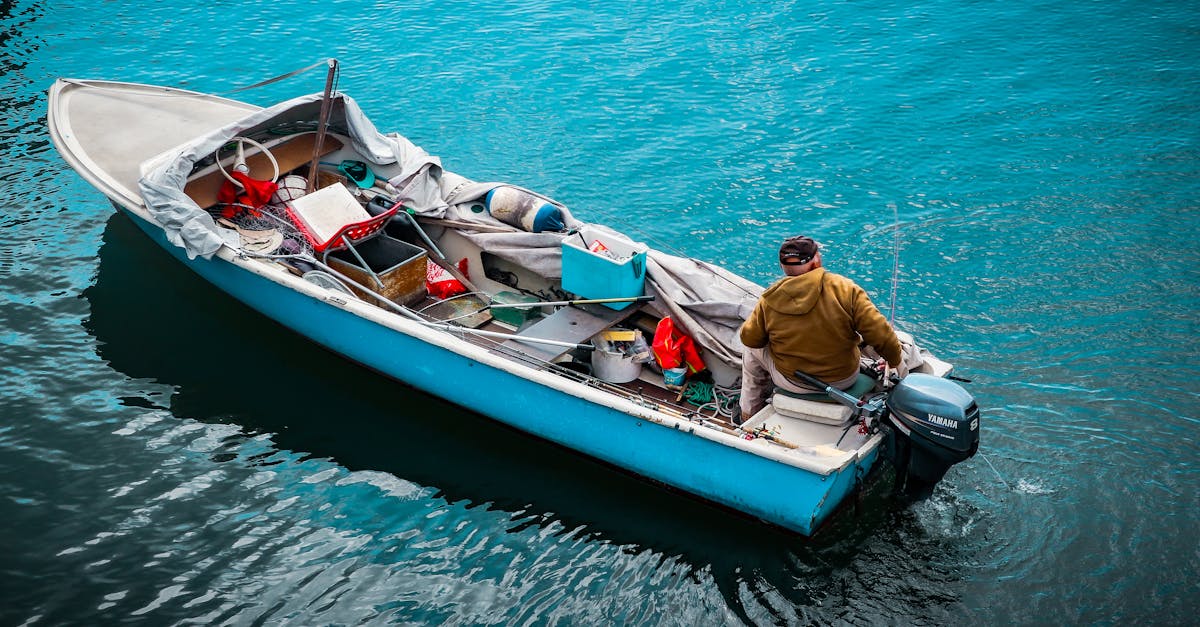 Lake Fishing: Navigating Change in a Competitive Environment