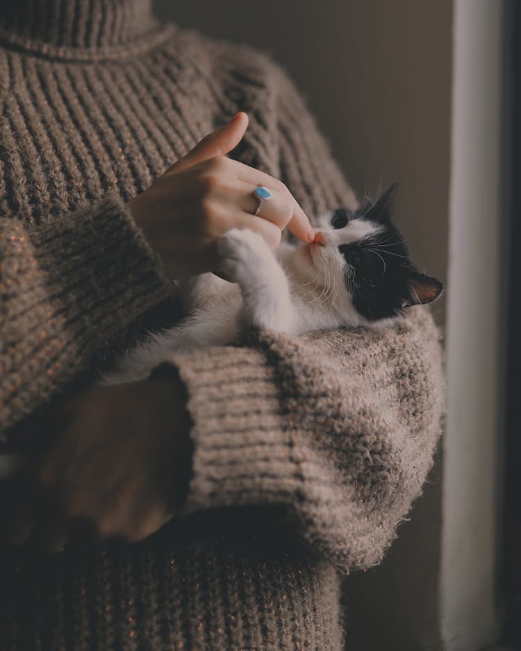 Unrecognizable Woman In Beige Pullover Holding Black And White Cat In Arms