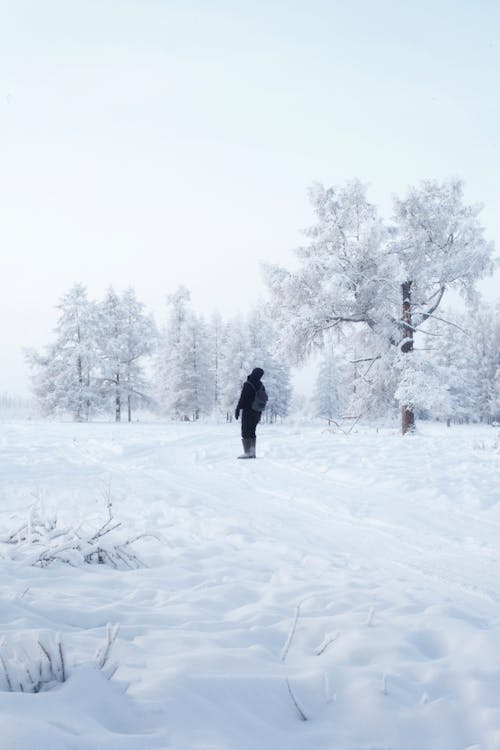 Free Person in Black Jacket Walking on Snow Covered Ground Stock Photo