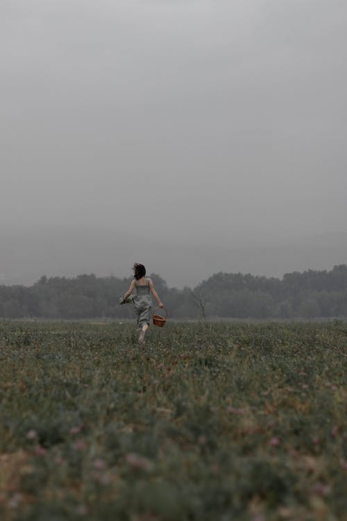 Immagine gratuita di ambiente, bellissimo, camminando