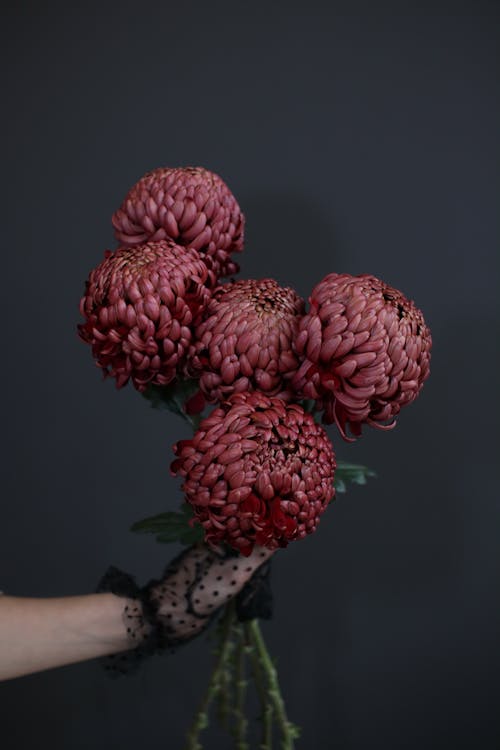 Woman Holding Flowers