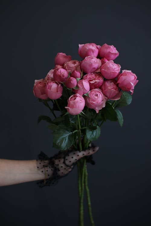 Woman Holding Roses