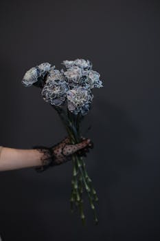 A close-up of a hand holding a bouquet of blue carnations against a dark background.