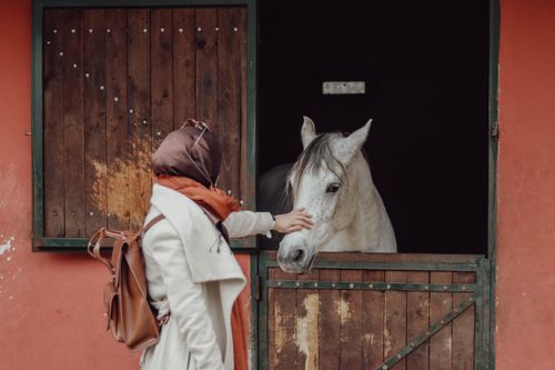 Free Woman in a coat gently petting a white horse outside a stable. Stock Photo