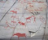 Ancient carvings on rocks depicting animals and humans at Alta, Norway.
