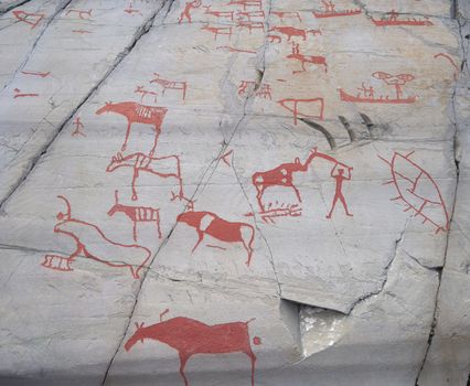 Ancient carvings on rocks depicting animals and humans at Alta, Norway.