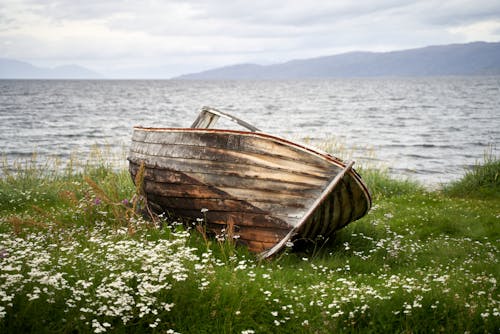 Free An Old Wooden Boat Near a River Stock Photo
