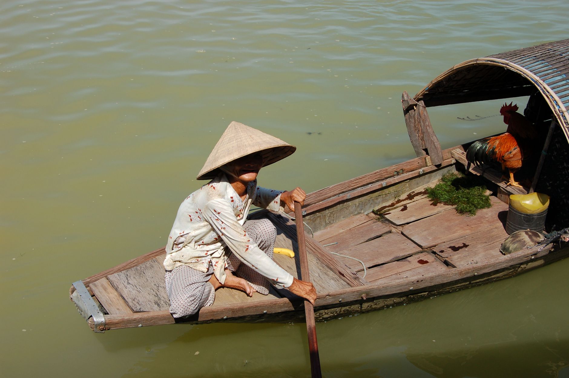 An adult woman in a conical hat rowing a wooden boat on a Vietnamese river.
