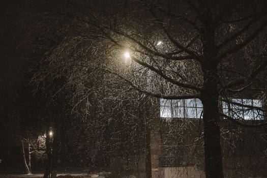 Capture of a winter night scene with a snow-covered bare tree illuminated by street lights.
