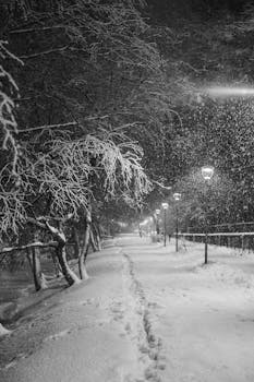 A tranquil winter night scene with snow-covered trees and a lit pathway.