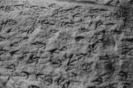 Detailed black and white photo of tire tracks in snowy ground, highlighting texture and patterns.
