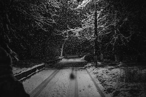A Grayscale Photo of an Empty Road while Snowing