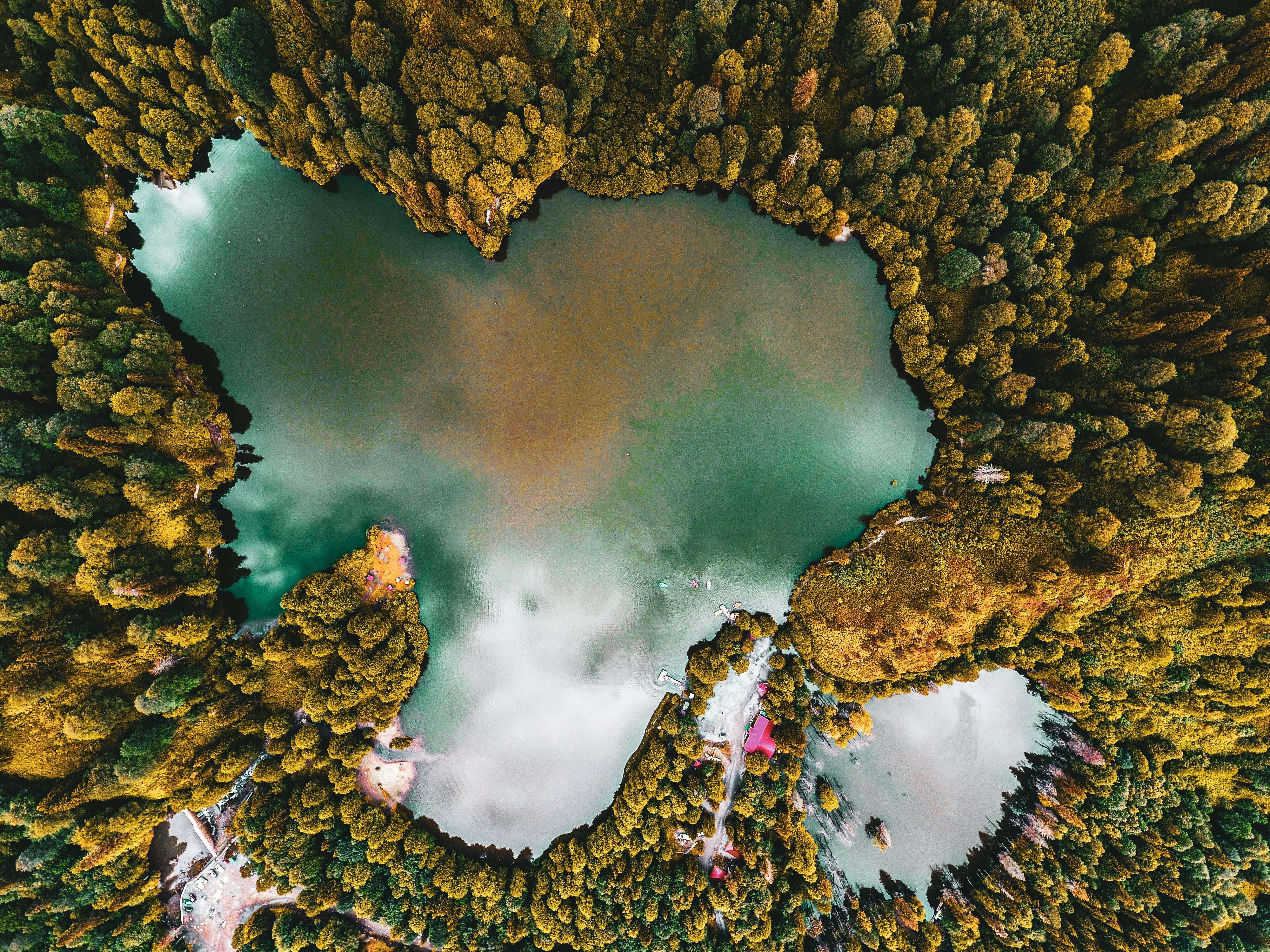 Aerial Photography of Lake Surrounded by Green Trees · Free Stock Photo