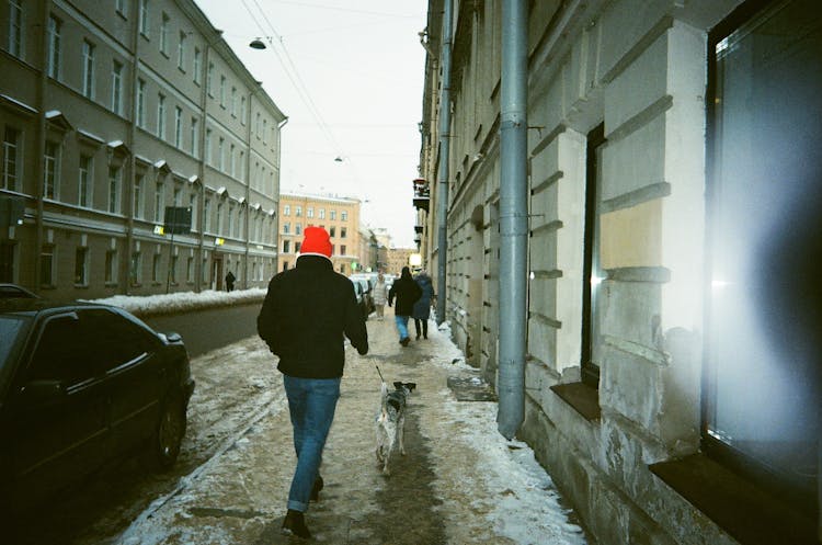 Man In Red Hat Walking Dog On Icy Street