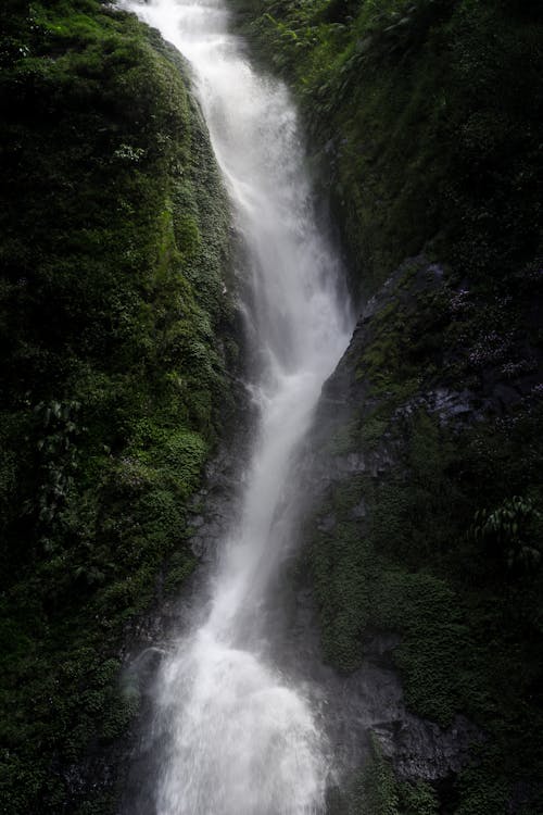 Fotografia Della Cascata