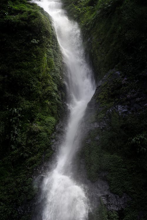 Fotografie Van Waterval