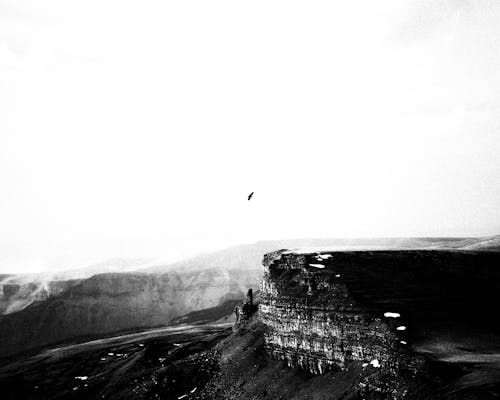 Základová fotografie zdarma na téma černobílý, krajina, létání
