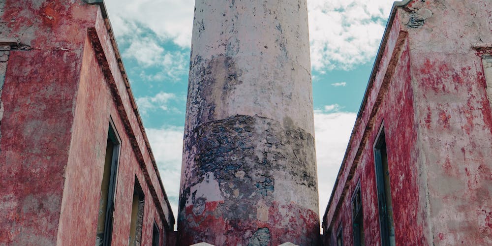 Gạo Lứt Nương - Một Hành Trình Khám Phá Hương Vị và Dinh Dưỡng Của Gạo Tự Nhiên