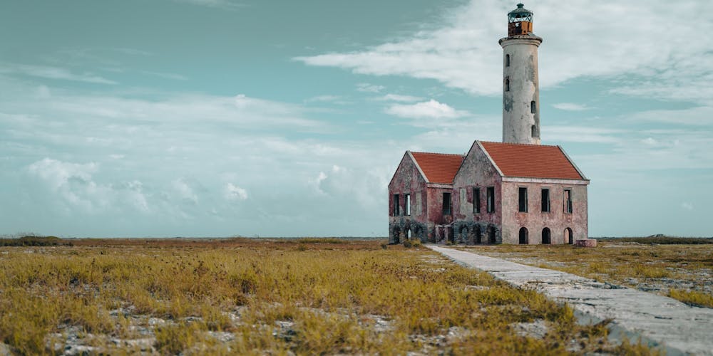 Khám Phá Các Loại Gạo Lứt Trên Thị Trường - Sự Đa Dạng Trong Ẩm Thực Việt Nam