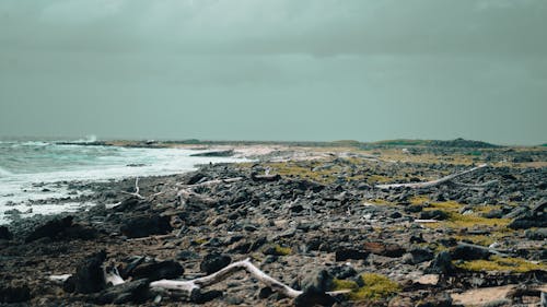 Immagine gratuita di cielo, costa rocciosa, riva del mare