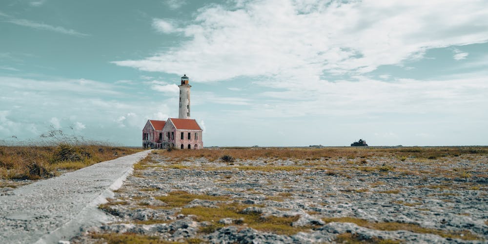 So sánh gạo lứt trắng và gạo lứt đỏ - Khám Phá Những Khác Biệt Nổi Bật Giữa Hai Loại Gạo Lành Mạnh