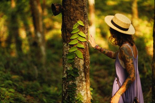 Free A woman with tattoos touches a tree in a sunlit forest while wearing a straw hat. Stock Photo